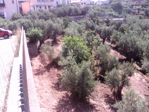 Terreno edificabile in vendita a Casali Del Manco (CS)