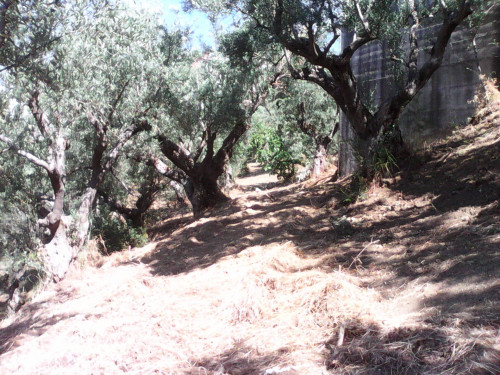 Terreno edificabile in vendita a Casali Del Manco (CS)