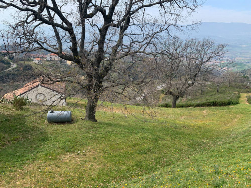 Terreno agricolo in vendita a Luzzi (CS)