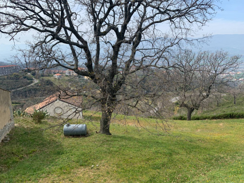 Terreno agricolo in vendita a Luzzi (CS)
