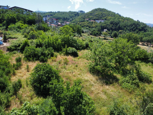 Terreno edificabile in vendita a Casali Del Manco (CS)