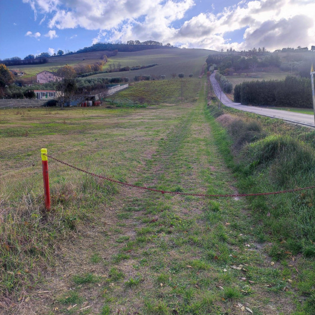 Terreno Agricolo in Vendita a Fermo