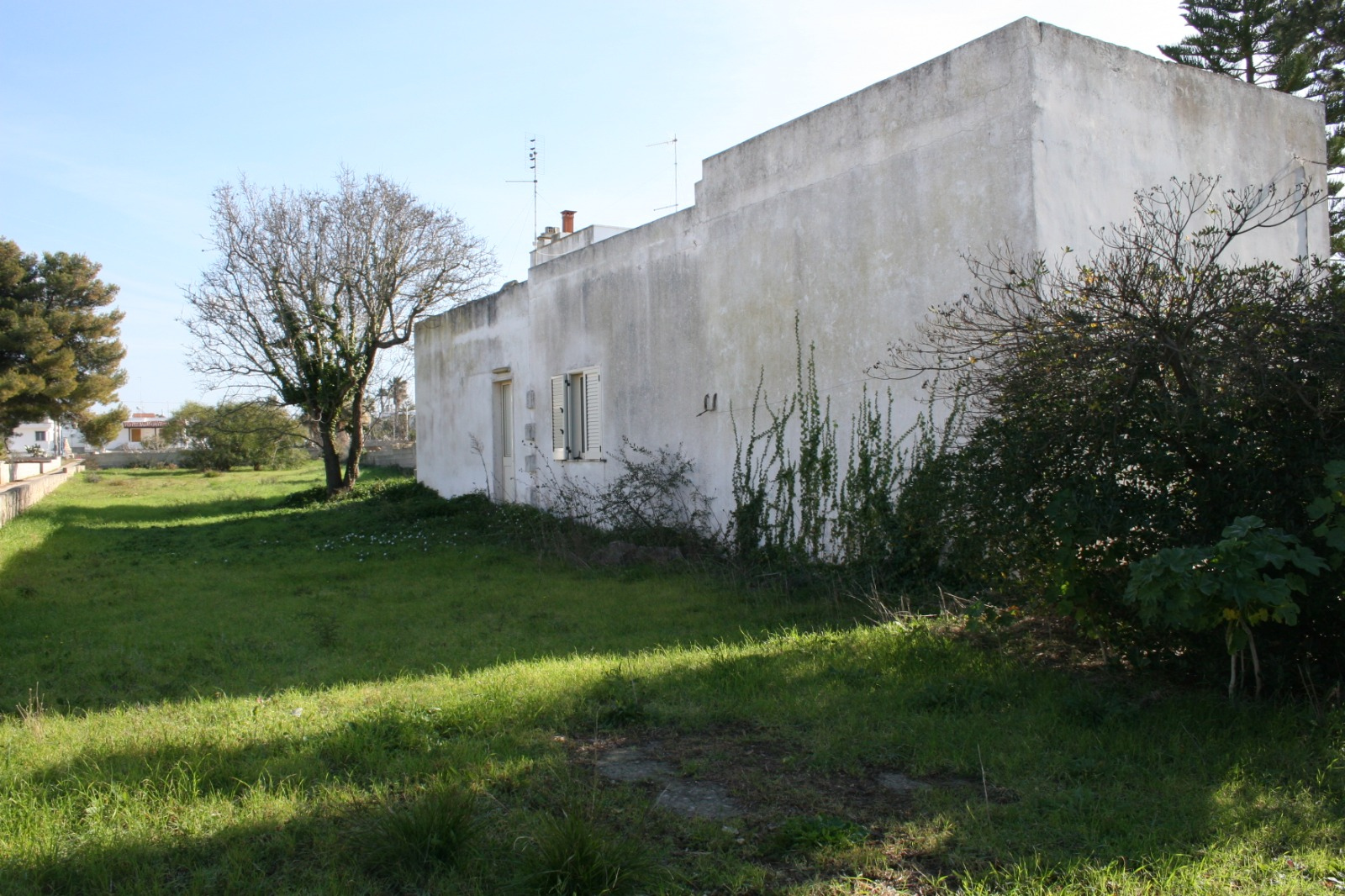 Villa Unifamiliare - Indipendente RACALE vendita  Torre Suda  ComproVendo Immobiliare