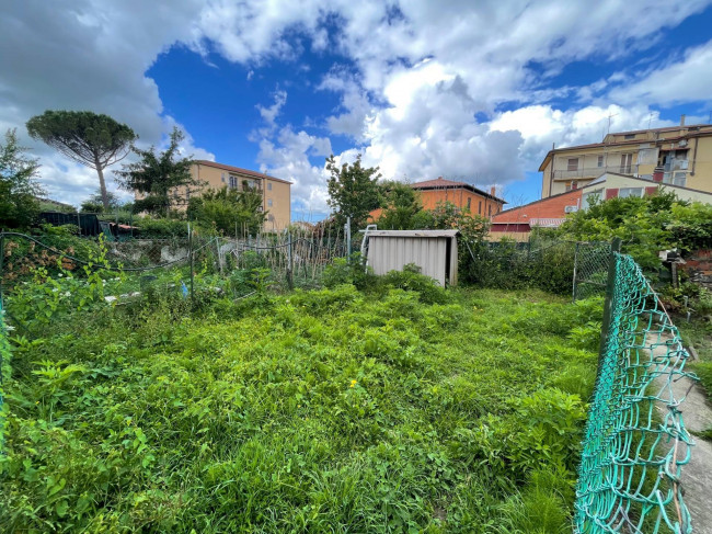 Ingrandisci la foto