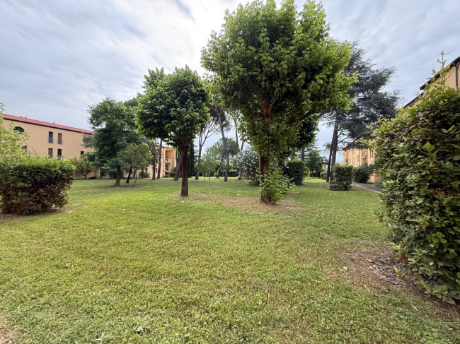 Ingrandisci la foto