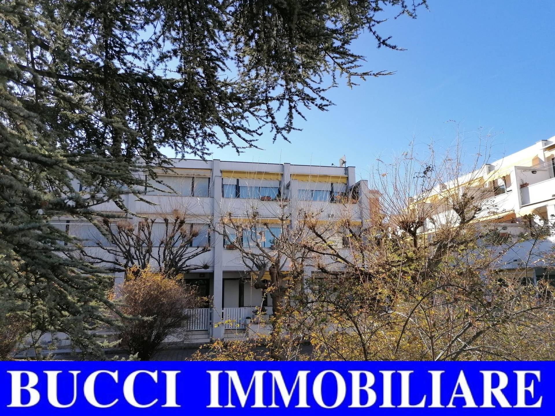  montesilvano vendita quart: montesilvano spiaggia bucci-immobiliare-di-bucci-tommaso