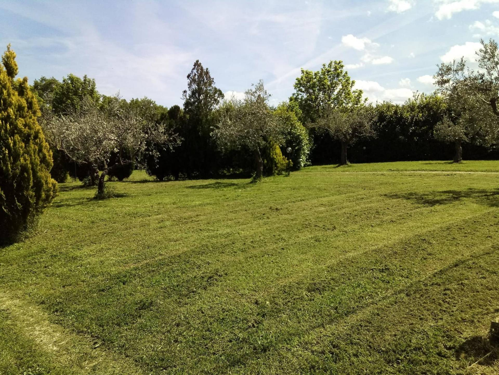 Villa VICOLI vendita  De Contra  Bucci Immobiliare di Bucci Tommaso
