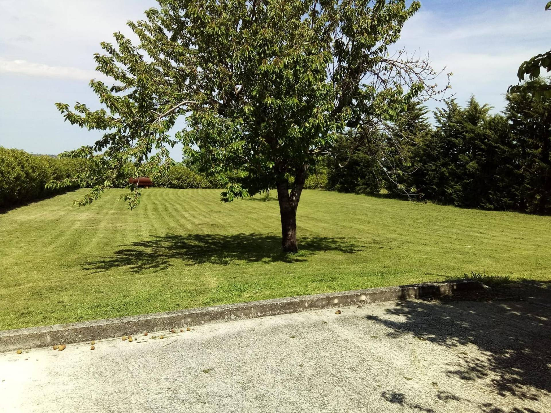 Villa VICOLI vendita  De Contra  Bucci Immobiliare di Bucci Tommaso