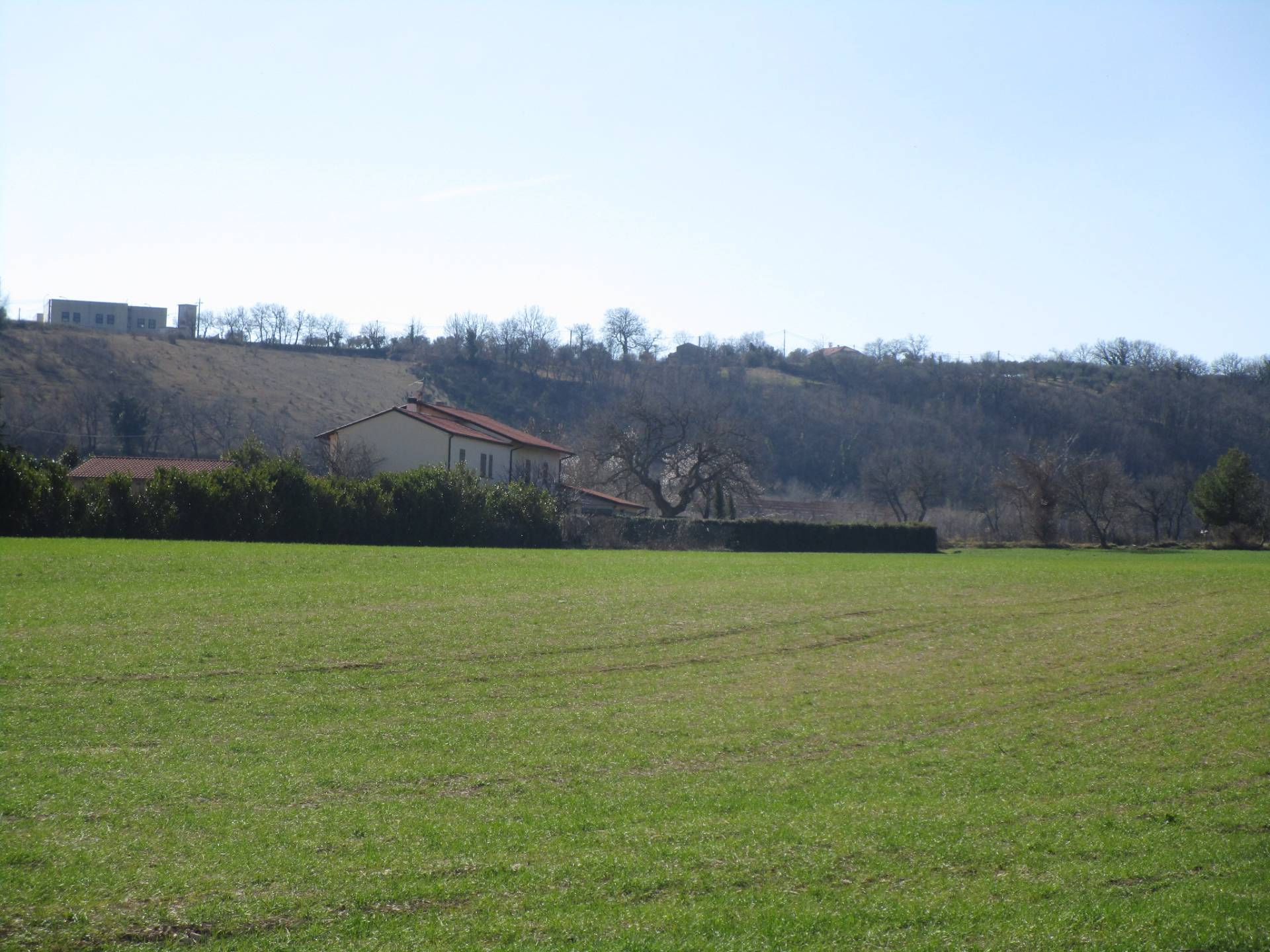 Villa VICOLI vendita  De Contra  Bucci Immobiliare di Bucci Tommaso