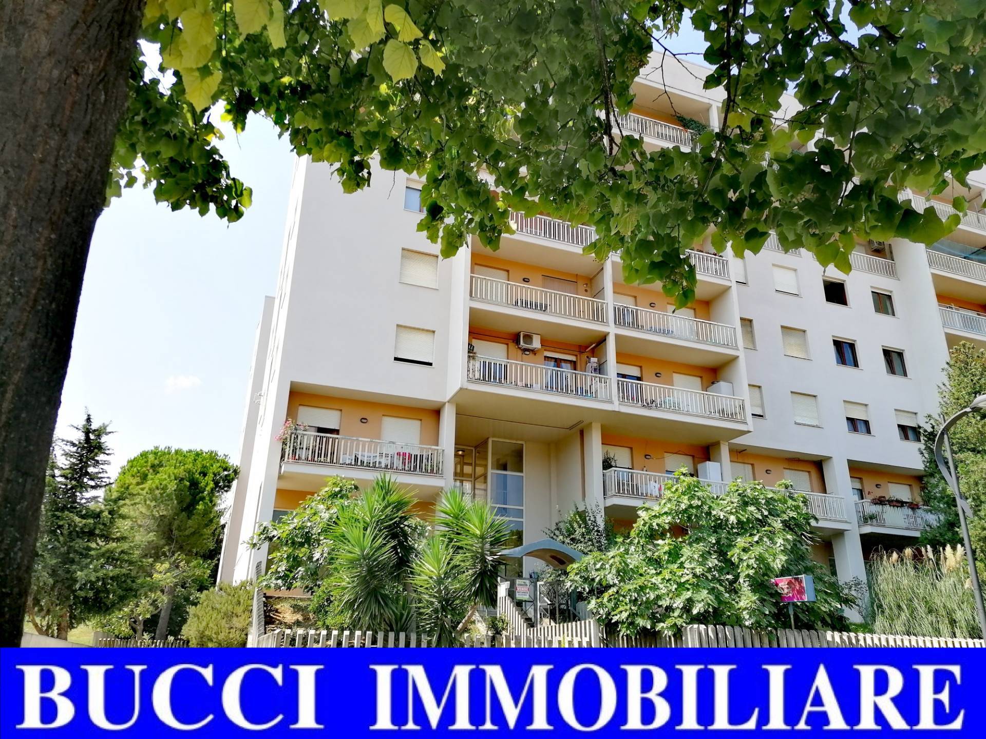  pescara vendita quart: zona colli bucci immobiliare di bucci tommaso