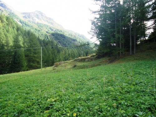 Terreno edificabile in vendita a Valgrisenche (AO)