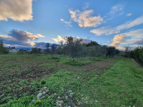 Terreno edificabile in vendita a Cepagatti (PE)