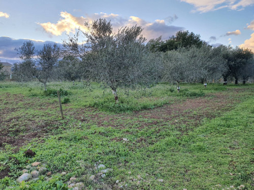 Terreno edificabile in vendita a Cepagatti (PE)