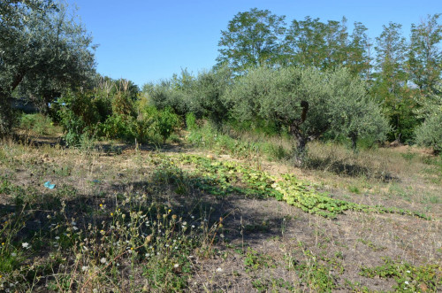 Terreno edificabile in vendita a Montesilvano Colle, Montesilvano (PE)