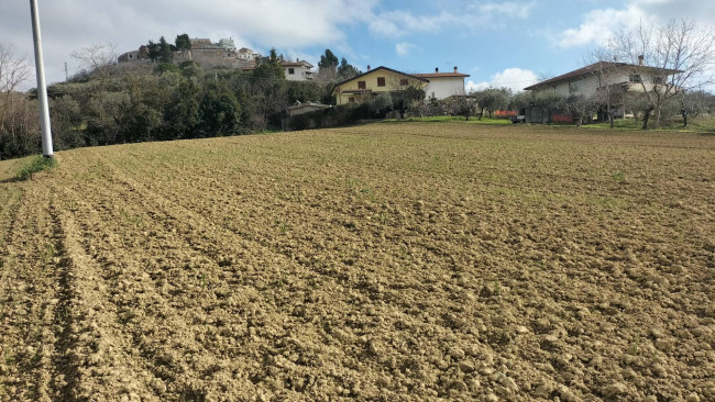 Terreno Agricolo in vendita a Collecorvino