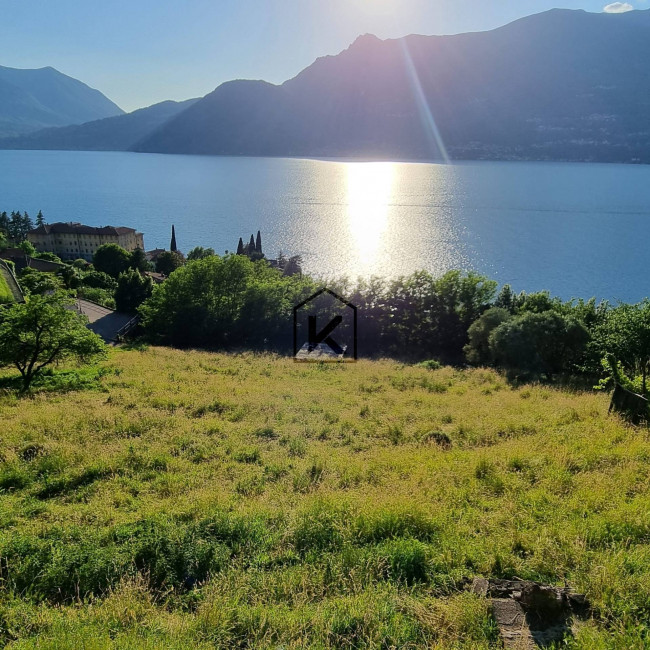Bellano Oro