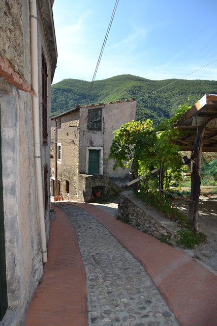 Rustico - Cascina BALESTRINO vendita  Bergalla  Casali Liguri Toscani di Cosso Livio