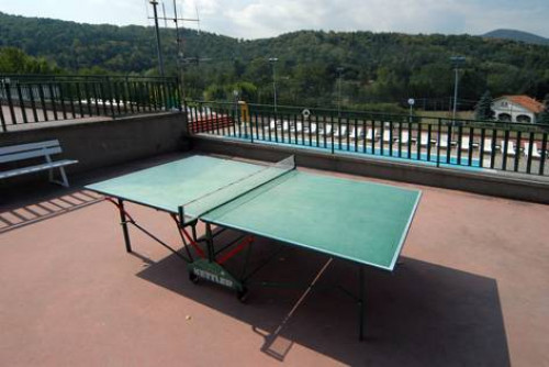 Appartamento in vendita a Bardineto