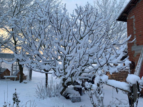 Casa indipendente in vendita a Asti (AT)