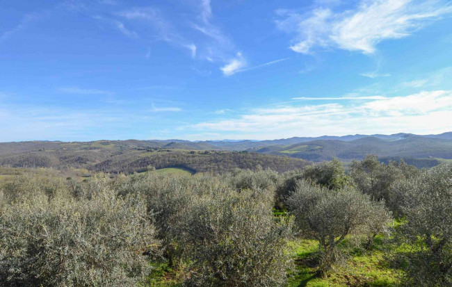 Casale in vendita a Castelnuovo Berardenga