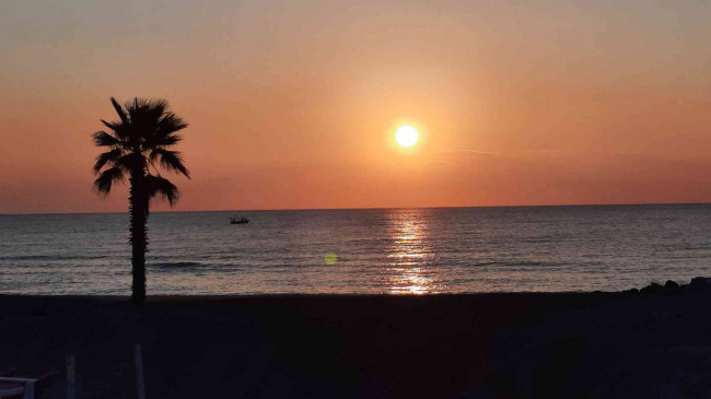 Attività commerciale in vendita a Loano