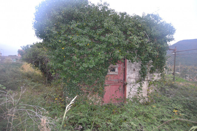 Terreno Agricolo in vendita a Toirano