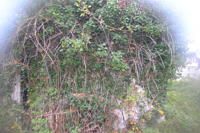 Terreno Agricolo in vendita a Toirano