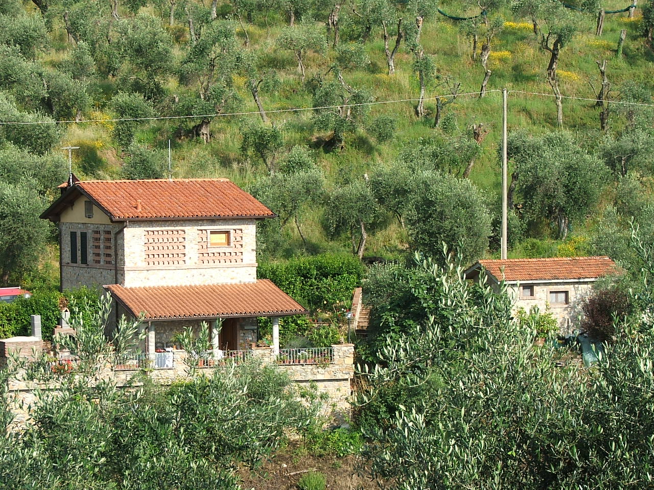 Rustico - Cascina MASSAROSA vendita  Pieve a Elici  Mediterranea Immobiliare s.n.c.