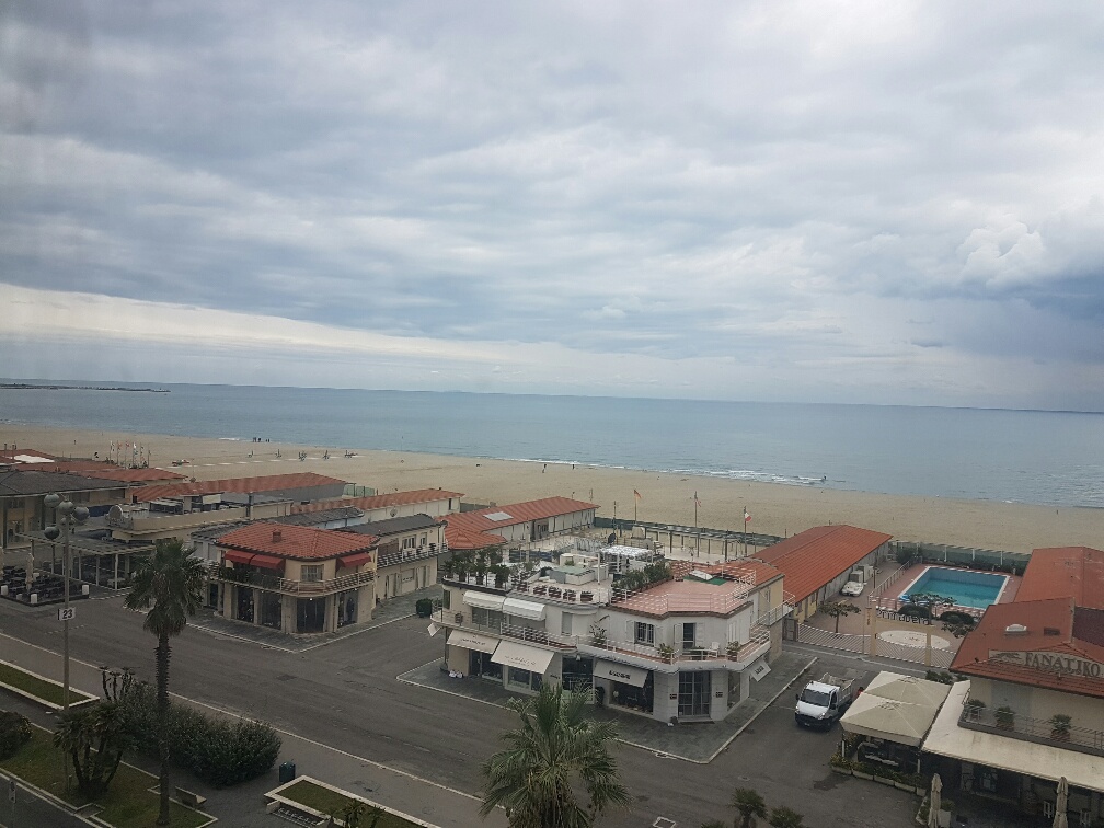 Attico VIAREGGIO vendita  Fascia mare  Mediterranea Immobiliare s.n.c.