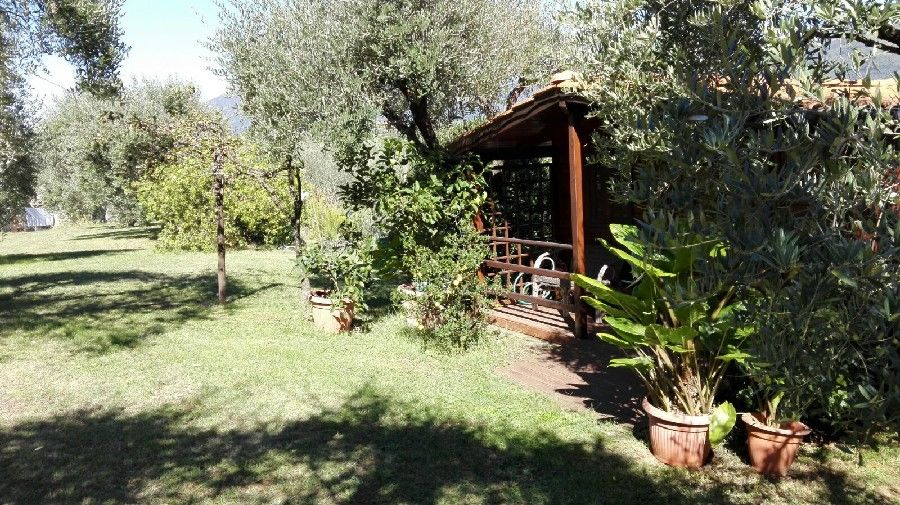 Villa Unifamiliare - Indipendente CAMAIORE vendita    Mediterranea Immobiliare s.n.c.