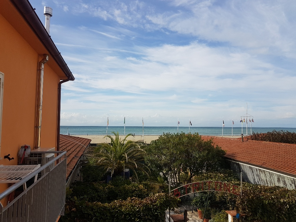 Appartamento VIAREGGIO vendita  Fascia mare  Mediterranea Immobiliare s.n.c.