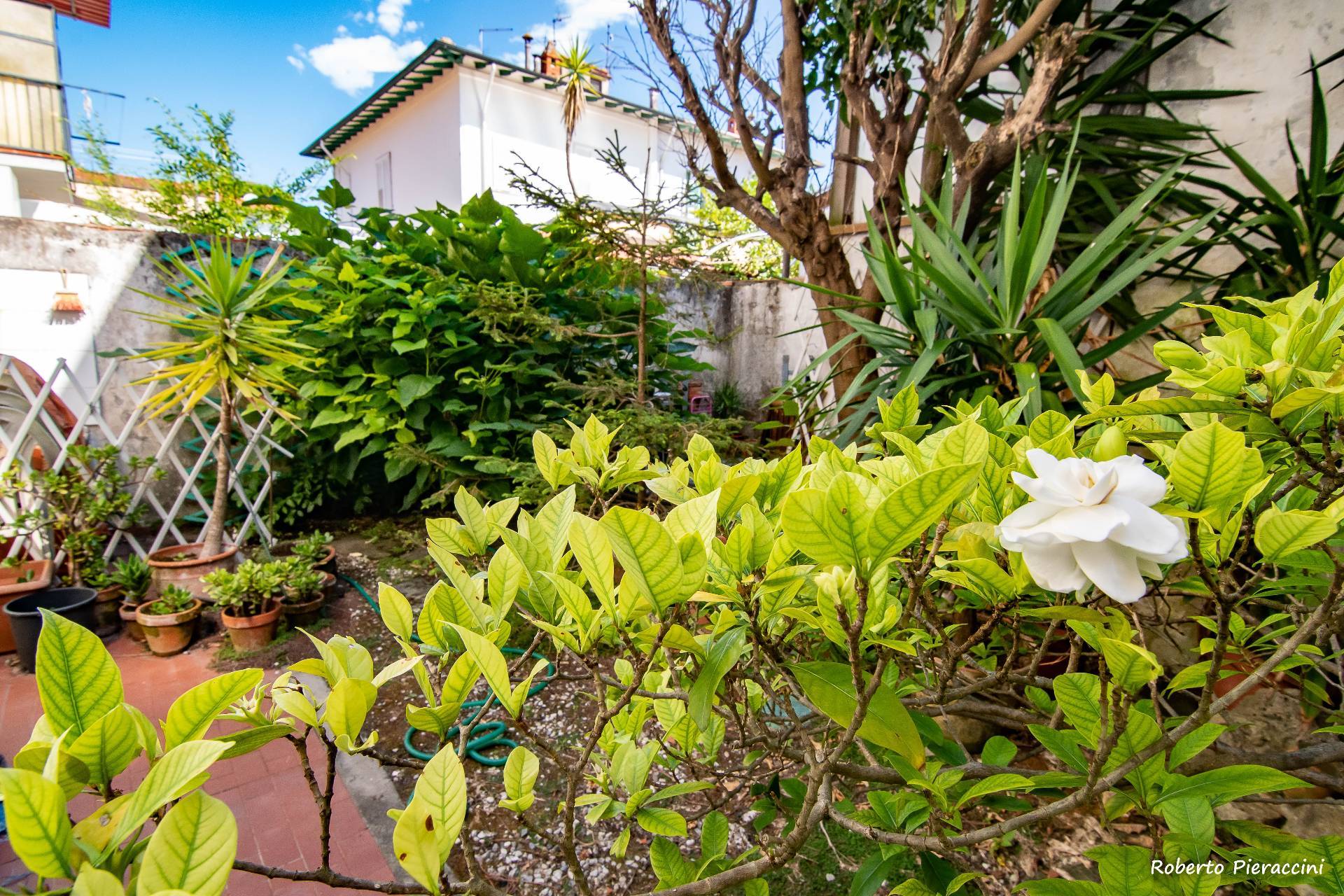 villa unifamiliare - indipendente viareggio vendita  don bosco  mediterranea immobiliare s.n.c.