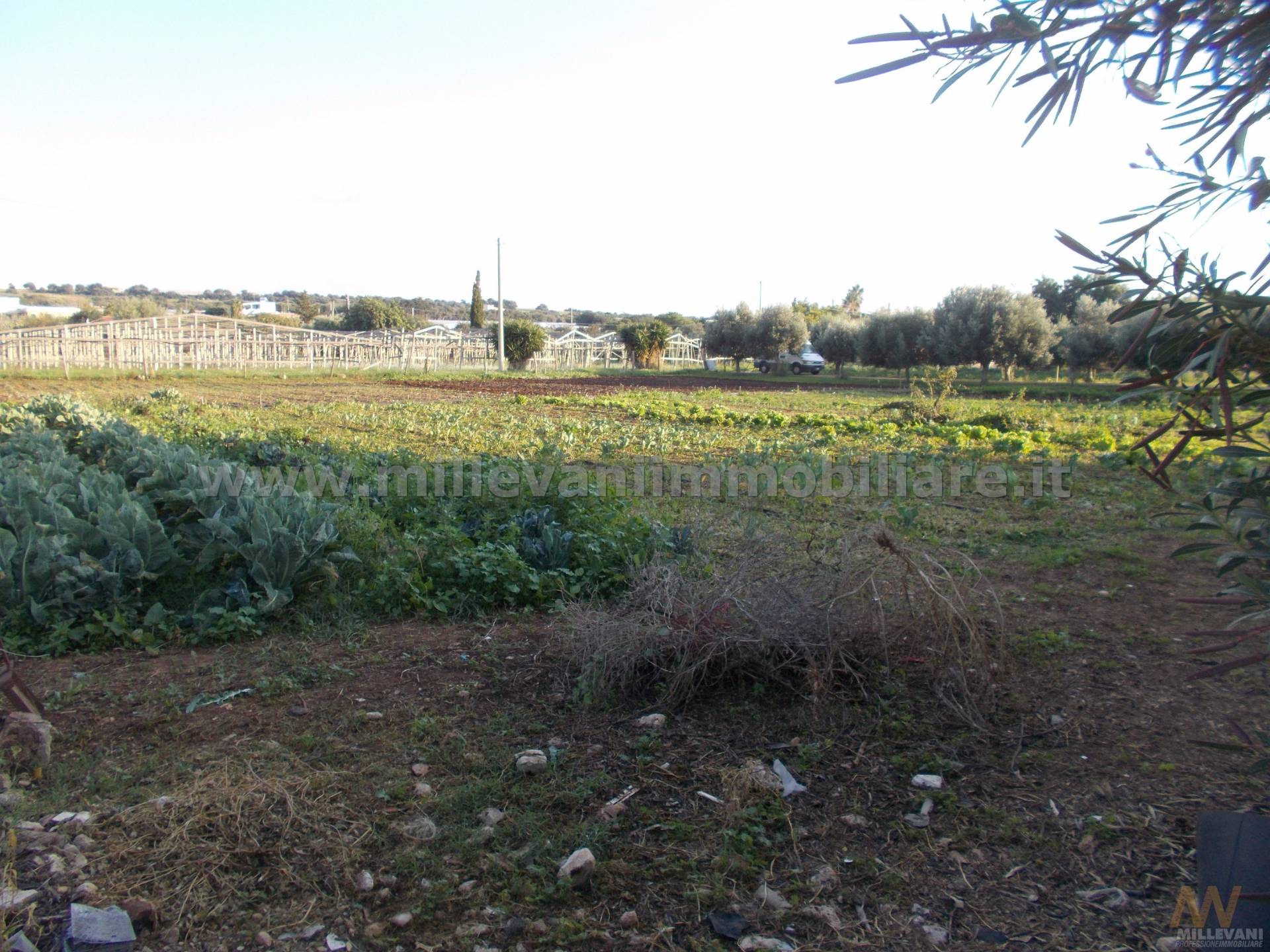 Villa Unifamiliare - Indipendente SANTA CROCE CAMERINA vendita    Millevani Immobiliare