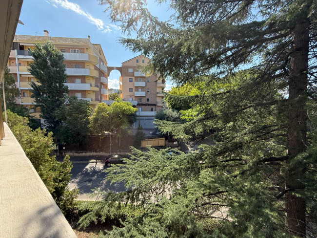 Camera singola in affitto a Chieti