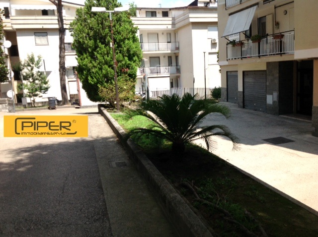 Appartamento QUARTO affitto    Piper immobiliare&servizi