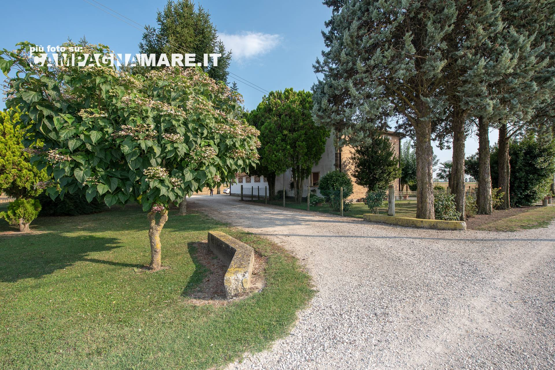 Villa Unifamiliare - Indipendente JOLANDA DI SAVOIA vendita    Campagna Mare Immobili