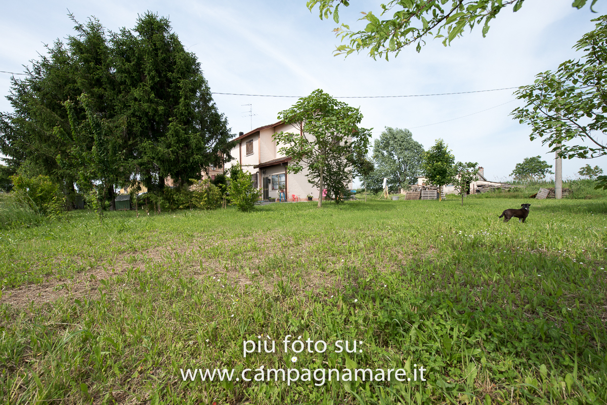 Villa Unifamiliare - Indipendente LAGOSANTO vendita    Campagna Mare Immobili