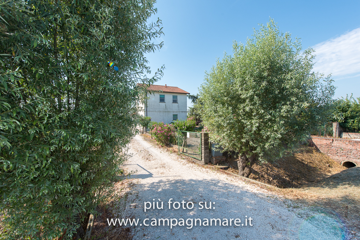  lagosanto vendita quart:  campagna-mare-immobili