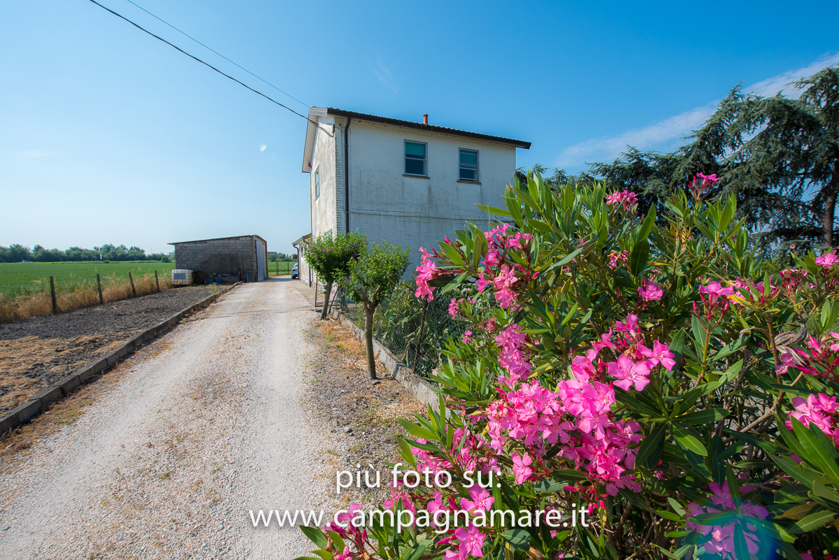 Villa LAGOSANTO vendita    Campagna Mare Immobili