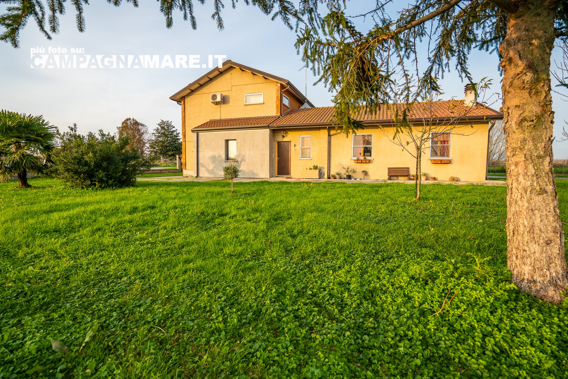 Villa Unifamiliare - Indipendente MESOLA vendita    Campagna Mare Immobili