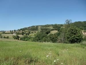 Ter. residenziale a Serramazzoni