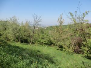 Terreno edificabile a Serramazzoni