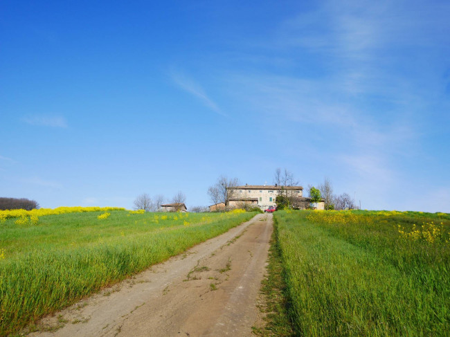 Casa con terreno agricolo a Serramazzoni